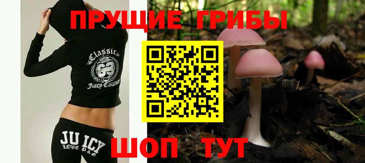 купить   Вход с VPN  Норильск  Галлюциногенные грибы Magic Shrooms 